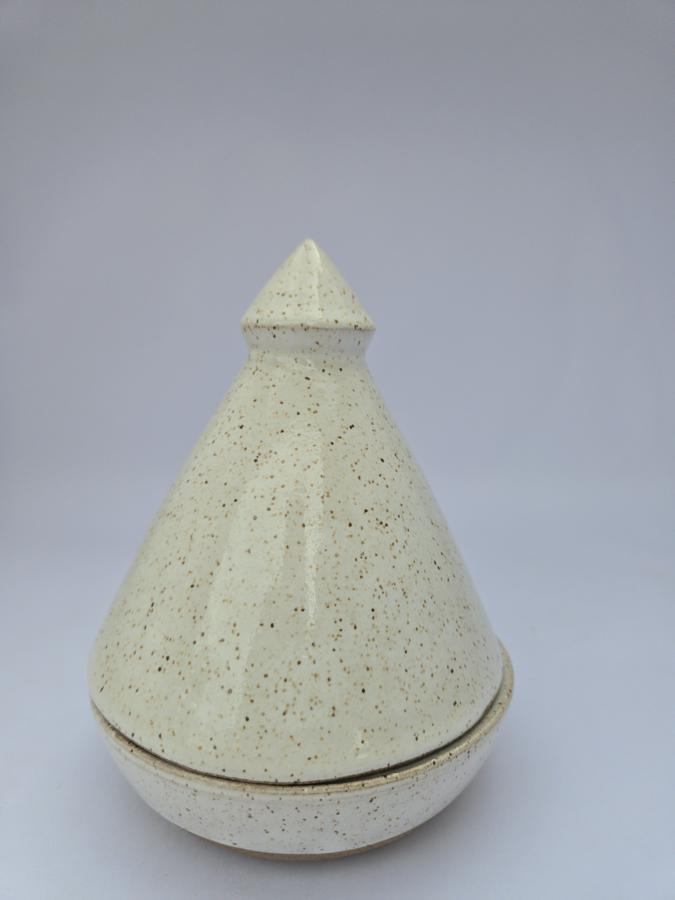 SALEIRO TAGINE